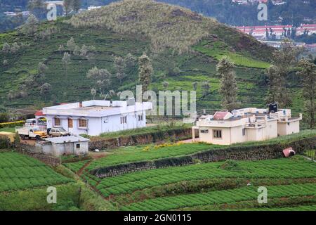 Auf dem Hügel gelegene Gästehäuser, Nilgiri Hills, Tamilnadu, Indien Stockfoto