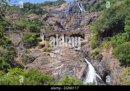 Dudhsagar-Wasserfälle ein vierstufiger Wasserfall am Mandovi-Fluss, Goa, Indien Stockfoto