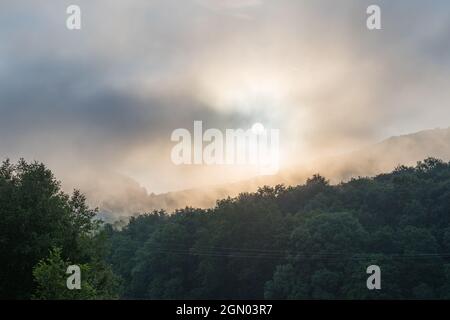 Smog vom Feuer hängt über den grünen Bäumen. Durch den Rauch sieht man den Kreis der Sonne. Waldbrände Stockfoto