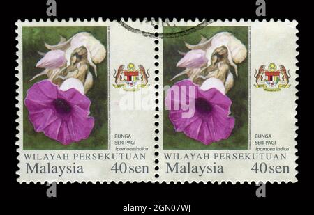 2 STÜCK IN Malaysia GEDRUCKTE STEMPELN zeigen das Bild der BONA SERI PAGI Ipomoea indica. Stockfoto