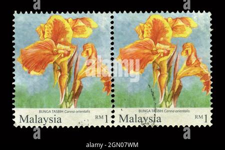 2 STÜCK SET Stamp gedruckt in Malaysia zeigt Bild der BHA TASBIH Canna orientalis. Stockfoto