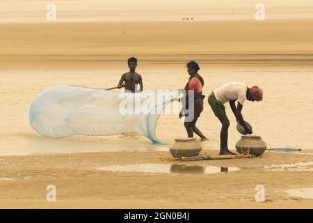 TAJPUR, WESTBENGALEN, INDIEN - 22. JUNI 2014 : Ein Fischer, der mit seiner Frau und seinem Sohn Fische mit Fischernetz am Ufer der Bucht von Bengalen fängt. Angeln Stockfoto