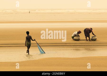 TAJPUR, WESTBENGALEN, INDIEN - 22. JUNI 2014 : Ein Sohn eines Fischers, der mit seinen Eltern mit einem Fischernetz an der Küste der Bucht von Bengalen Fische fängt. Angeln Stockfoto