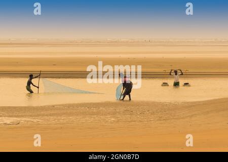 TAJPUR, WESTBENGALEN, INDIEN - 22. JUNI 2014 : Ein Fischer, der mit seiner Frau und seinem Sohn Fische mit Fischernetz am Ufer der Bucht von Bengalen fängt. Angeln Stockfoto