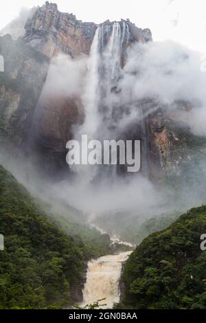 Angel Falls (Salto Angel), der höchste Wasserfall der Welt (978 m), Venezuela Stockfoto