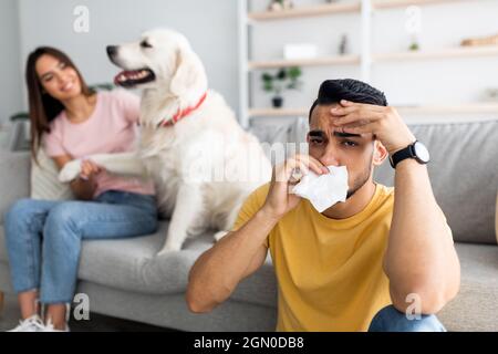 Trauriger arabischer Mann, der an Erkältung oder Allergie leidet und seine Nase mit Papiertuch, seine Frau und seinen niedlichen Hund auf dem Hintergrund abwischt Stockfoto