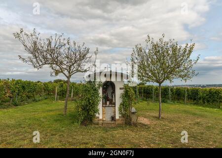 Die lourdes-Kapelle auf einem Weinberg oberhalb von Flörsheim am Main Stockfoto