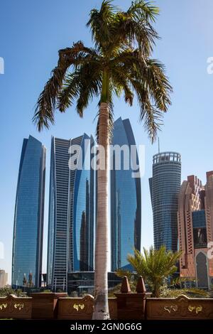 Palme vor dem Emirates Palace Hotel mit Wolkenkratzern dahinter NABU Dhabi, Abu Dhabi, Vereinigte Arabische Emirate, Mittlerer Osten Stockfoto