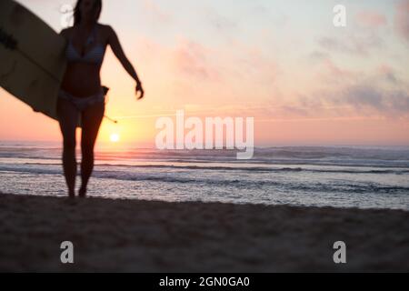 Weibliche Surferin geht mit Surfbrett am Strand in Sonnenuntergang, Surfen, Portugal, Sonnenuntergang Stockfoto