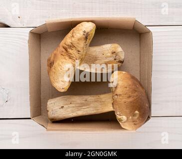 Zwei Steinpilze in einem Teller Papier auf einem Holztisch, Nahaufnahme, Draufsicht. Stockfoto