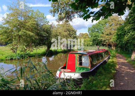 Ein hell gestrichenes, festgetäutes, schmale Boot auf dem River Wey Navigation Kanal auf dem Land in Pyrford Surrey England Stockfoto