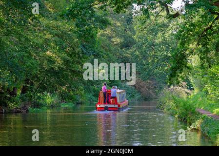 Eine schmale Bootsfahrt auf dem Fluss Wey Navigation Kanal an einem Sommertag, Pyrford Surrey England Großbritannien Stockfoto