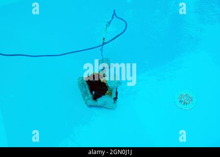 Von oben der moderne automatische Roboter Pool Reiniger waschen blauen Pool mit transparentem Wasser während des Wartungsprozesses Stockfoto