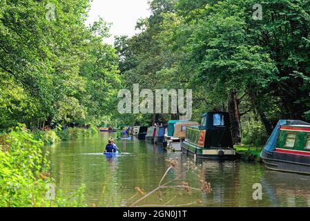 Kanufahrer auf dem River Wey Navigation Kanal an einem sonnigen Sommertag in Pyrford Surrey England Stockfoto