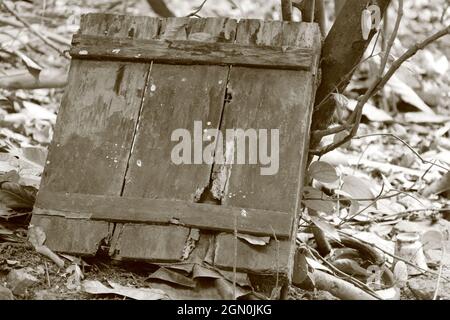 Eine alte Holzkiste, die von Termiten gefressen wurde. Stockfoto