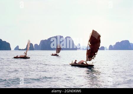 Vietnam. Golf von Tonkin. Halong Bay. Blick auf die Küste mit traditionellen Segelbooten. Stockfoto