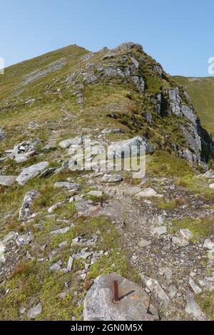 South Glen Shiel Ridge nähert sich Munro Sgurr an Doire Leathain, Schottische Highlands, Großbritannien Stockfoto