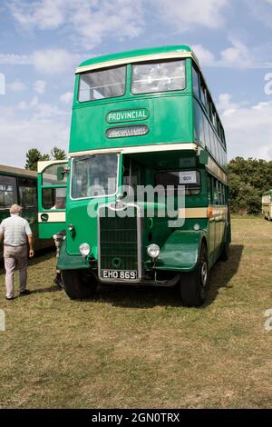 Provincial Bus Rally 2019 Stokes Bay Gosport Stockfoto