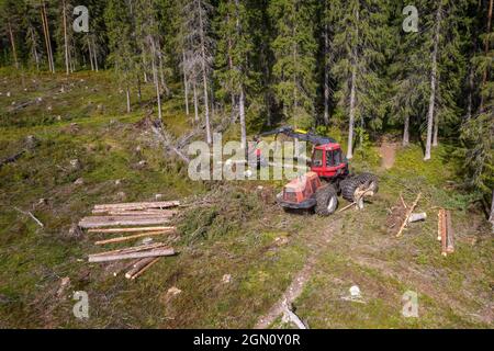 Walderntemaschine schneidet in kleineren Stücken frisch geschnittener Baum, vollautomatische Maschine im Wald, von oben nach unten Luftbild Stockfoto