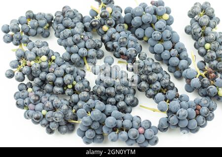 Trauben aus blauen Trauben auf weißem Hintergrund. Weinbeeren auf dem Tisch ernten. Foto von oben Stockfoto