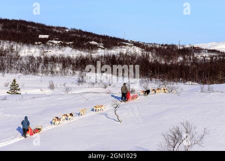 Hundeschlittentour in der Nähe von Indset, Björn Klauer &#39;s Husky Farm, Bardufoss, Norwegen Stockfoto