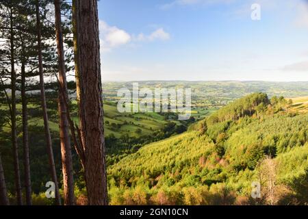 Rollende Hänge und das Tal von Clwyd vom Deichpfad von Offa aus gesehen, innerhalb der Clydian Range of Hills. Stockfoto