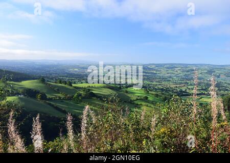 Rollende Hänge und das Tal von Clwyd vom Deichpfad von Offa aus gesehen, innerhalb der Clydian Range of Hills. Stockfoto