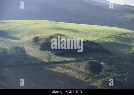 Rollende Hänge und das Tal von Clwyd vom Deichpfad von Offa aus gesehen, innerhalb der Clydian Range of Hills. Stockfoto