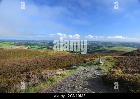 Rollende Hänge und das Tal von Clwyd vom Deichpfad von Offa aus gesehen, innerhalb der Clydian Range of Hills. Stockfoto