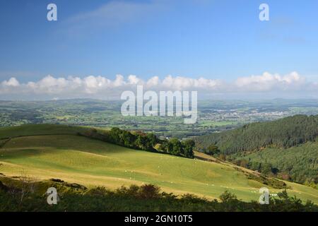 Rollende Hänge und das Tal von Clwyd vom Deichpfad von Offa aus gesehen, innerhalb der Clydian Range of Hills. Stockfoto