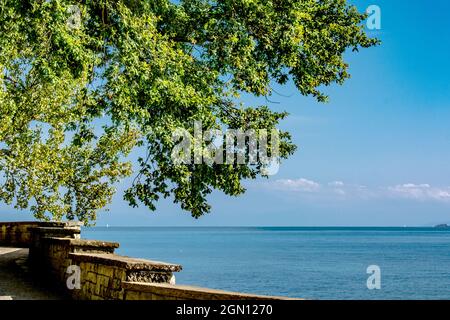 Baden-Württemberg : Insel Mainau Stockfoto