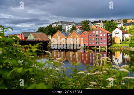 Alte Lagerhäuser entlang der Nidelva, Trondheim, Norwegen Stockfoto