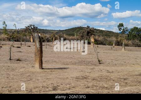 Archäologische Stätte El Infernito mit einer Sammlung von steinernen Menhiren. Villa de Leyva, Kolumbien. Stockfoto