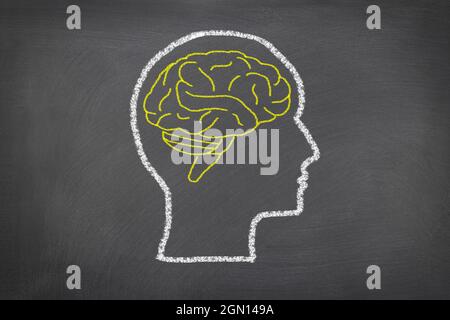 Eine Kreideskizze auf einer Tafel eines menschlichen Kopfes und Gehirns zur Verwendung als wissenschaftliches Thema oder zur Betrachtung des menschlichen Denkens. Stockfoto