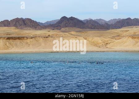 Schnorcheltouristen im Ras Muhammad National Park, Sharm el Sheikh, Ägypten Stockfoto