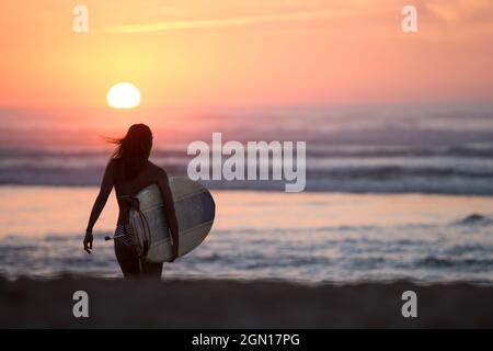 Weibliche Surferin geht mit Surfbrett am Strand in Sonnenuntergang, Surfen, Portugal, Sonnenuntergang Stockfoto