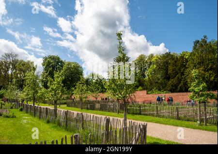 Küchengarten, Schlossgarten Eutin, Naturpark Holstein Schweiz, Ostholstein, Schleswig-Holstein, Deutschland Stockfoto