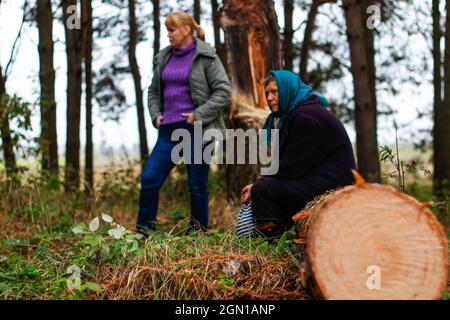 Unschärfe-Seitenansicht von zwei Frauen, die im Pinienwald spazieren und auf einem Baumstamm sitzen. Freizeit- und Menschenkonzept, Mutter und Tochter wandern im Herbstwald Stockfoto