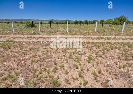 Eine Reihe von Markierungen für eine unterirdische Gaspipeline, die durch Pauldan AZ in der Nähe des Lower Sullivan Canyon verläuft, wo der Verde River beginnt. Stockfoto