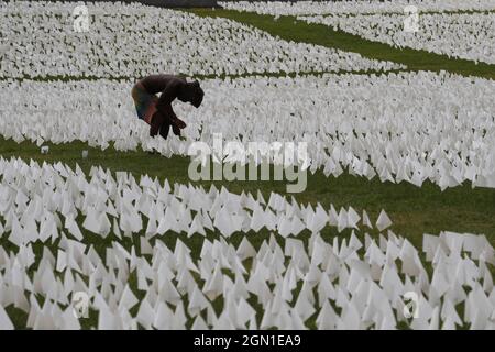 21. September 2021, Washington, District of Columbia, USA: Mehr als 650,000 weiße Flaggen, von denen 114, 937 Lateinamerikaner waren, stehen auf der National Mall zu Ehren der Amerikaner, die mit Covid 19 starben, während der Kunstausstellung „in America Remember“ heute am 21. September 2021 in der National Mall in Washington DC, USA. (Bild: © Lenin Nolly/ZUMA Press Wire) Stockfoto