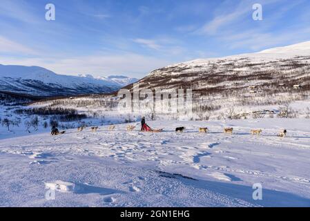 Hundeschlittentour in der Nähe von Indset, Björn Klauer &#39;s Husky Farm, Bardufoss, Norwegen Stockfoto