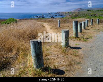 Dies ist die unaussprechliche Bodega Bay Gegend, Meilen und Meilen von ruhigen Stränden mit einem ätherischen und wunderschönen Reiz. Stockfoto