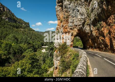 Tarnschlucht bei Le Rozier, Gorges du Tarn, Parc National des Cevennes, Nationalpark Cevennes, Lozère, Languedoc-Roussillon, Ozzitania, Frankreich Stockfoto