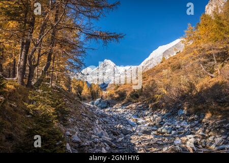 Ködnitzbach im Ködnitztal mit Großglockner (3,798 m), Kals am Großglockner, Osttirol, Tirol, Österreich Stockfoto