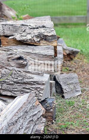 Blick auf Baumstämme und Holzstücke, die geschnitten und übereinander auf das Gras gelegt werden Stockfoto