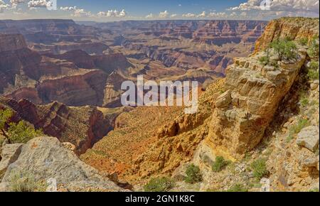 Grand Canyon von der südöstlichen Seite des Zuni Point am Südrand am Mittag betrachtet. Stockfoto