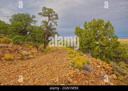 Eine primitive und selten genutzte Straße am Südrand des Grand Canyon, die zu den Palisaden der Wüste führt. Stockfoto