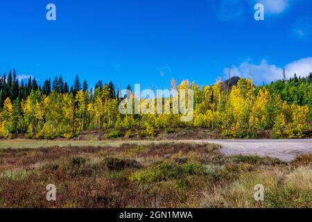Muddy Pass Lake umgeben von Herbstfarben in Orange und Gelb. Stockfoto