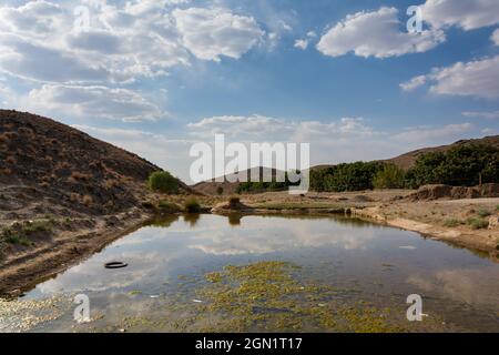 Verlassene öffentliche Fischbecken voller Grünalgen in der Wüste, Baukonzept, schmutziges Wasser im alten Schwimmbad oder Fischbecken im iran Stockfoto