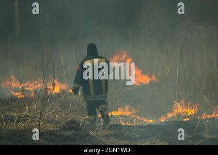 Ein Feuerwehrmann löscht ein Feuer in der Natur. Trockenes Gras brennt. Der Retter bekämpft das Feuer. Brände in Russland. Trockene Sommer sind gefährlich. Stockfoto